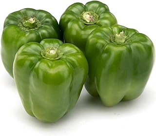 Capsicum